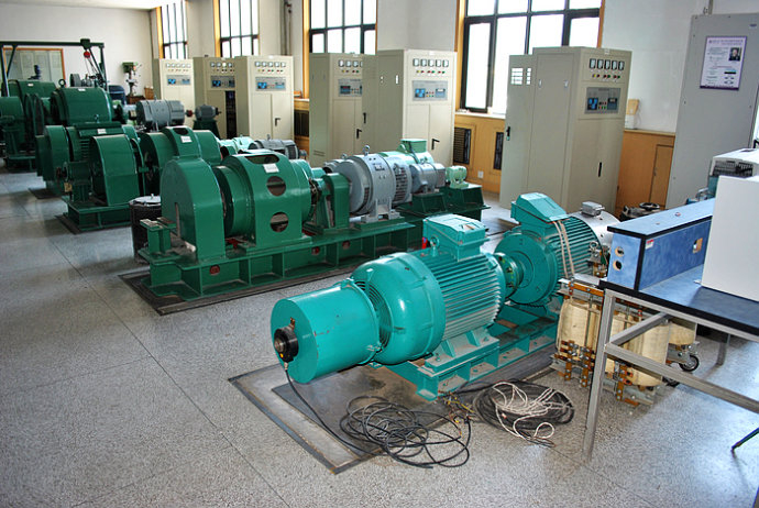 国营蓝洋农场某热电厂使用我厂的YKK高压电机提供动力